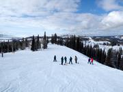 Leichte Piste North Pole