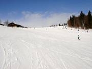 Leichte Abfahrt am Almwiesenlift
