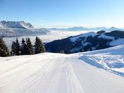 Piste an der Brandstadlbahn