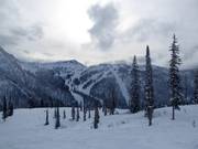 Blick auf die Pisten am Summit Chair