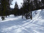 Loipe in Tandådalen