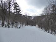 Leichter Ziehweg durch die Wälder