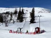 Toppliften - Tellerlift