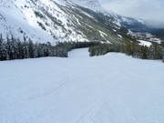 Leichte Piste Buffalo Flats