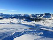 Blick über das weite Skigebiet Sunshine Village