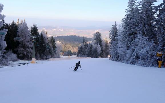 Pistenangebot Cham – Pistenangebot Hohenbogen – Neukirchen bei Hl. Blut