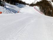 Mélèze Piste unterhalb der Pendelbahn Las Donnas