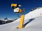 Leistungsstarke Beschneiung