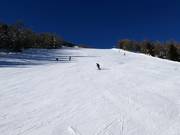 Schwarze Piste bei der Gondelbahn Tagliede Costaccia