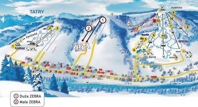 Zebra – Białka Tatrzańska