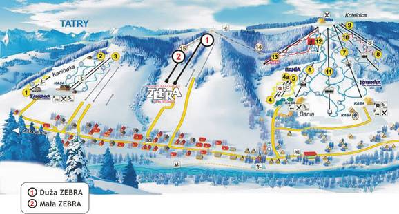 Zebra – Białka Tatrzańska