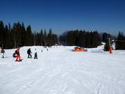 Anfänger sind hier gut aufgehoben