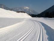 Loipe in Waidring unterhalb der Steinplatte
