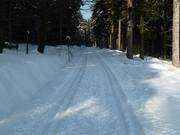 Königskron-Loipe an der Bergstation der Lifte am Bayreuther Haus