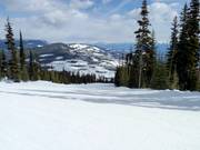 Typische Waldschneisenpiste in Kimberley