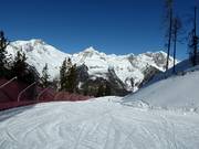 Leichte Family-Piste bei der Kabinenbahn Panorama