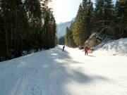  Talabfahrt Loderbichl-Lofer 