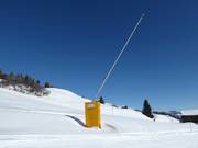 Schneilanze im Skigebiet