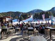 Bar Masella
