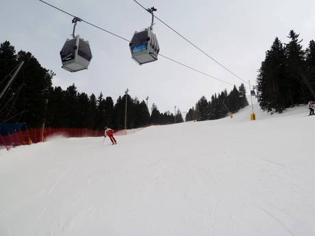 Sobretta-Gavia-Gruppe: Testberichte von Skigebieten – Testbericht Santa Caterina Valfurva