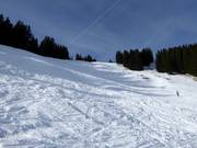 Schwere Weiherkopf FIS-Herrenabfahrt