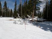Schneekanonen in Snowmass