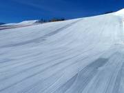 Perfekte Piste in Alpendorf