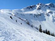 Freeridegebiet am Zweitausender