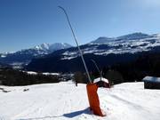 Schneilanzen an der Talabfahrt nach Waltensburg