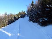 Rifenal-Abfahrt Nr. 1