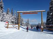 Die Bergerstrasse führt zum Vance Creek