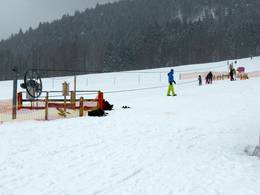 Seillift Hirschzwergland