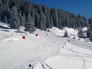 Feldernanger Abfahrt