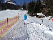 Skikinderland Loser Mega-Star - Seillift/Babylift mit niederer Seilführung