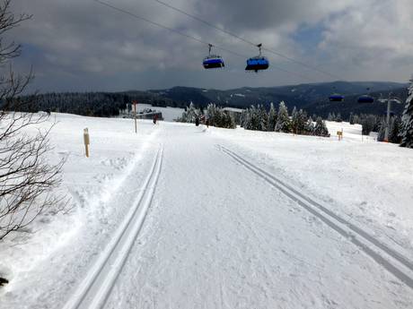 Langlauf Lörrach – Langlauf Feldberg – Seebuck/Grafenmatt/Fahl