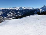 Leichte Piste Standard I