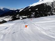 Schneilanzen an der Talabfahrt nach Brigels