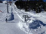 Zirbenlift II - Tellerlift