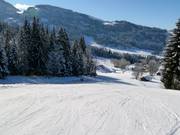 Talabfahrt Ascher nach Altenmarkt