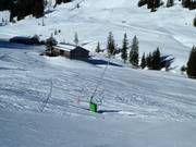 Schneilanze in Mellau