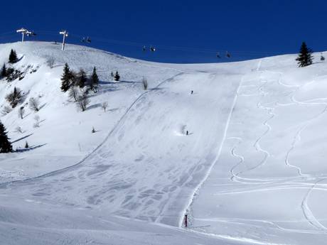Pistenangebot Eisacktal – Pistenangebot Ladurns