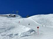 Schwarze Bergwiesenabfahrt
