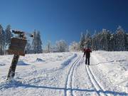 Verbindungsloipe vom Ettelsberg zur Hochheideloipe