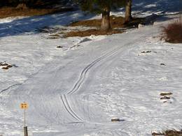 Am Ried – Farchant