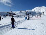 Alpine Meadow Platter - Tellerlift