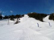 Schwere Abfahrt Pukkelen