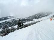 Blick auf die Freeride Zone Chopok Süd
