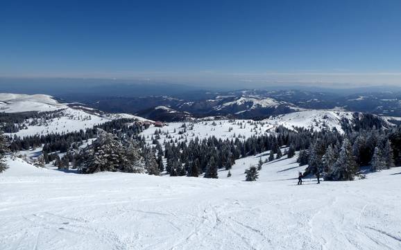 Größter Höhenunterschied in Šumadija und Westserbien – Skigebiet Kopaonik
