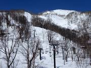 Mori-no Chair - 2er Sesselbahn fix geklemmt