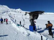 Wintergarden Platter - Tellerlift